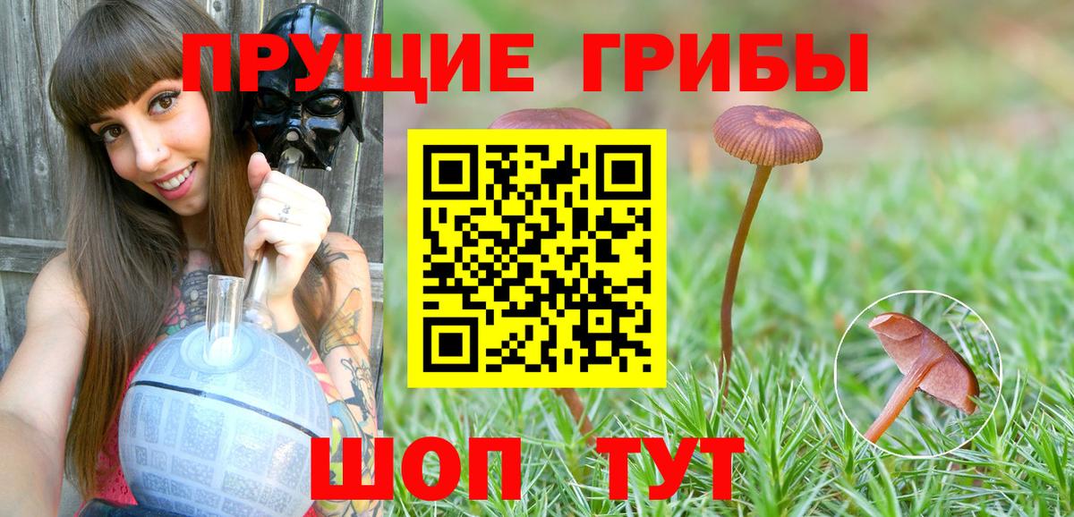 Галлюциногенные грибы GOLDEN TEACHER  Вход с VPN  Алушта  Псилоцибиновые грибы Psilocybe 